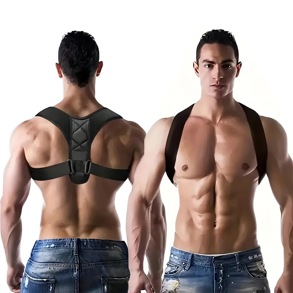 Back Support Belt
