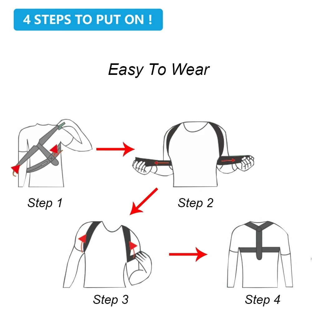 Back Support Belt