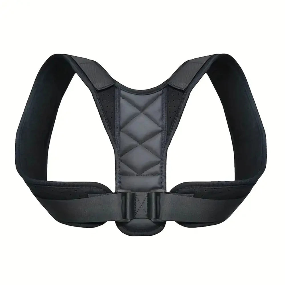 Back Support Belt