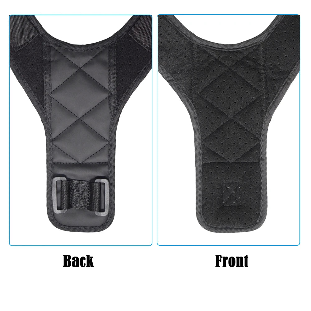 Back Support Belt