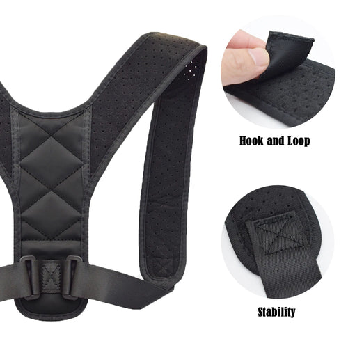 Back Support Belt